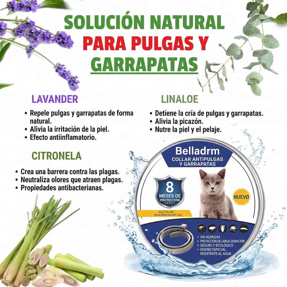 Belladrm BioDefense: Flea and Tick Collarbio