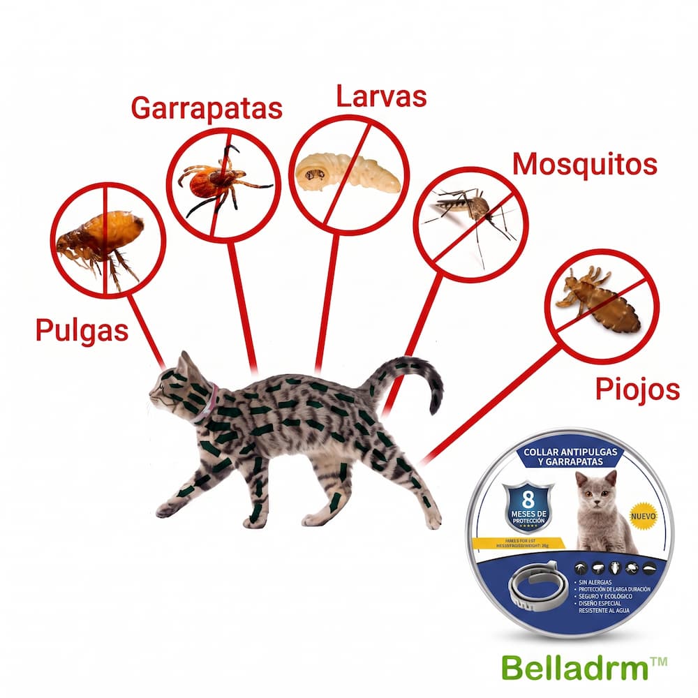Belladrm BioDefense: Flea and Tick Collarbio