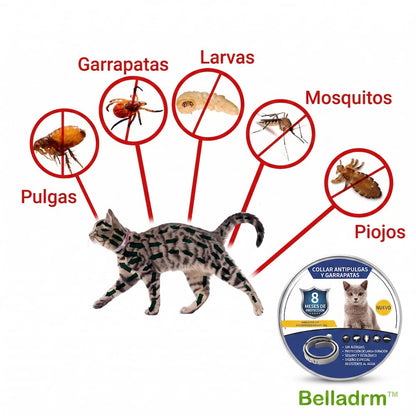 Belladrm BioDefense: Flea and Tick Collarbio